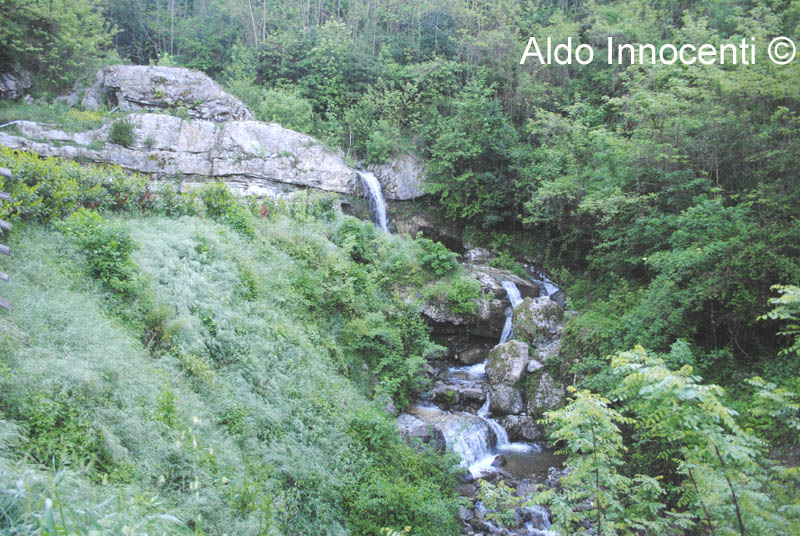 PONTE DI CATAGNANA: CASCATA DEL TORRENTE 1' IMMAGINE